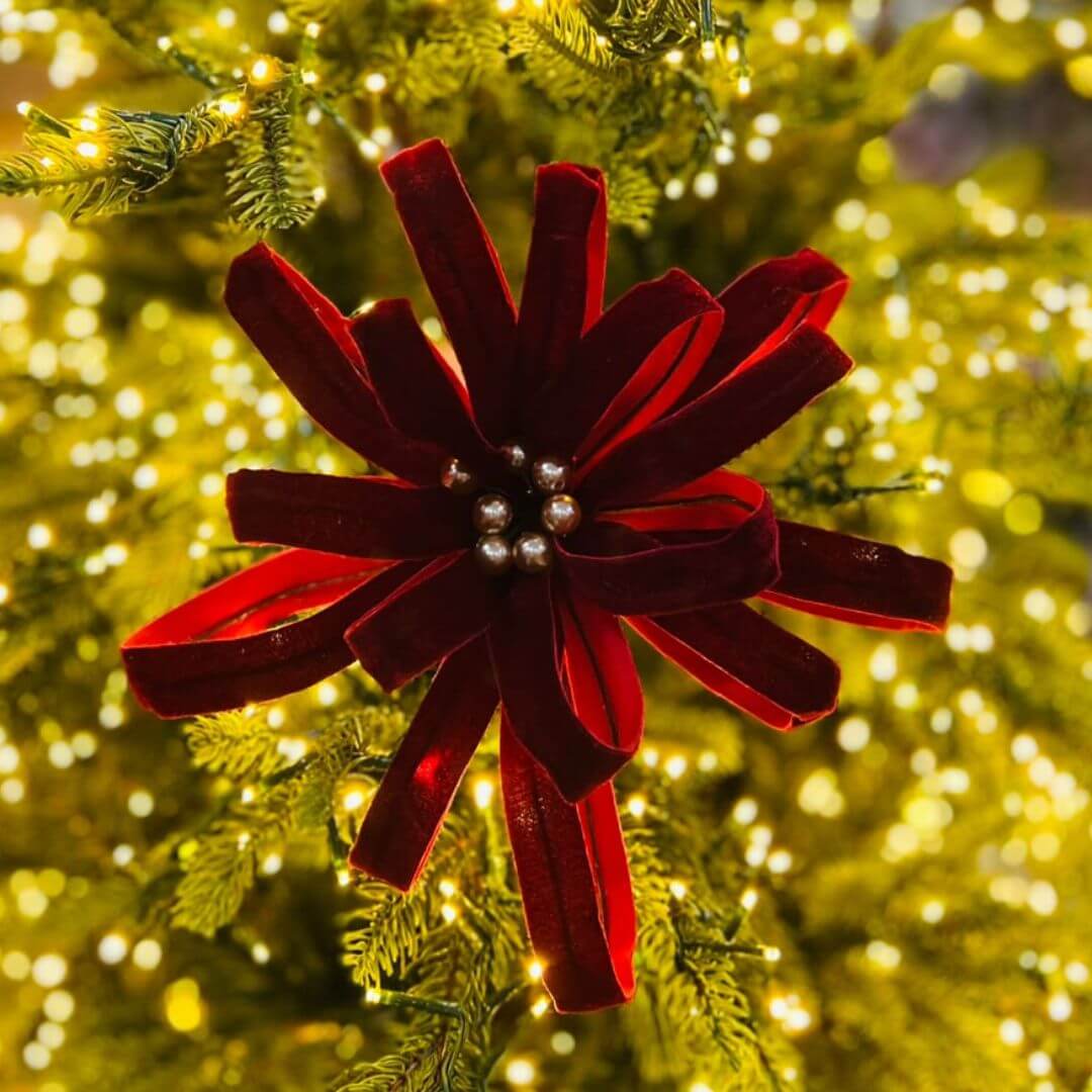 Poinsetia Bordo Com Perolas X16 - Alt 60 Cm Diam 29 Cm