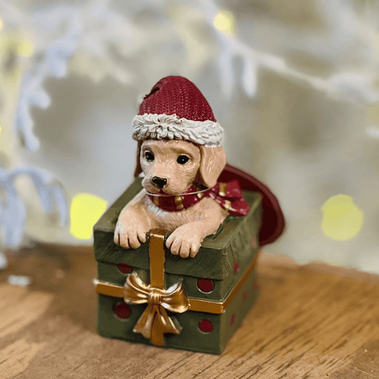 Decoração Cachorro com Gorro e Caixa de Presente - 10,5cm