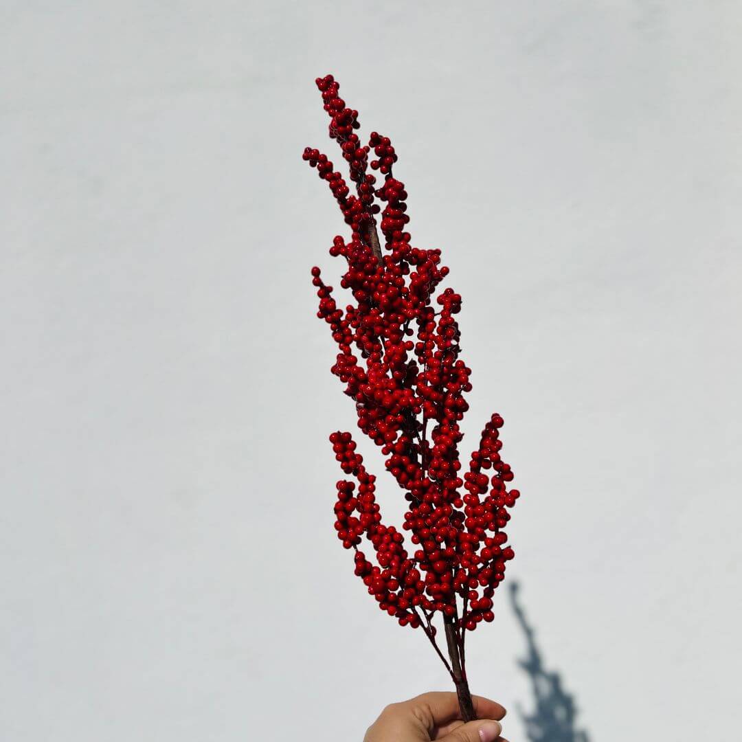 Haste Berry – 75cm