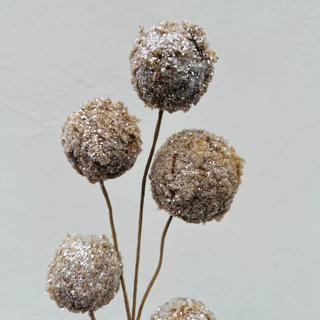 Haste Bolinhas Bege x 5 - Alt 50 Cm