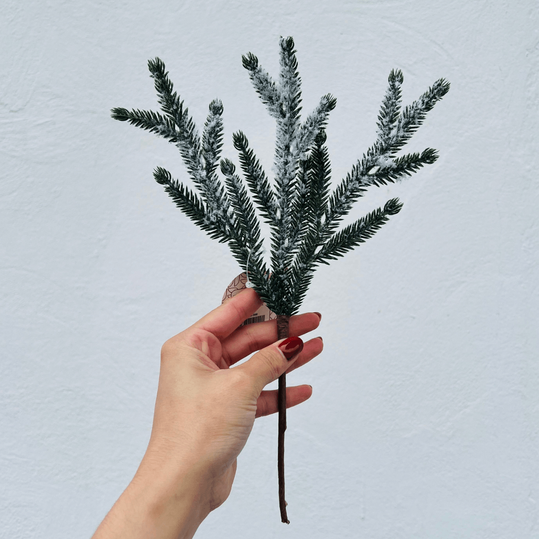 Haste de Cipreste Nevado – 30 cm