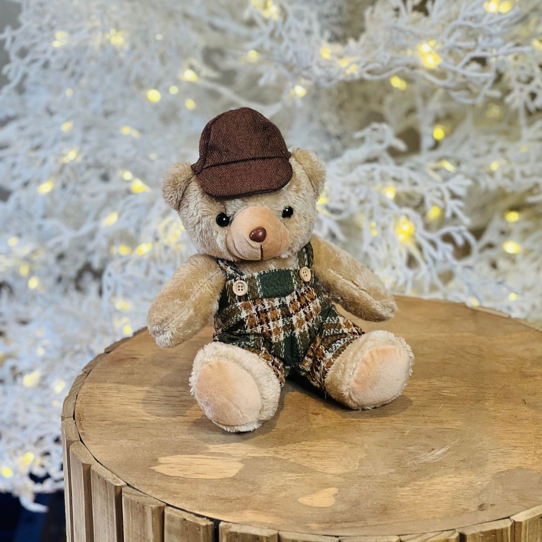 Urso de Pelúcia Menino Verde – 20 cm