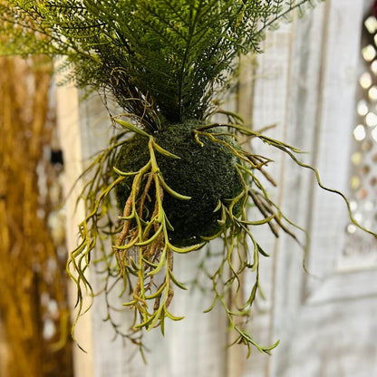Kokedama Samambaia para Pendurar – 76cm
