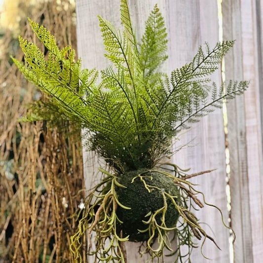 Kokedama Samambaia para Pendurar – 76cm