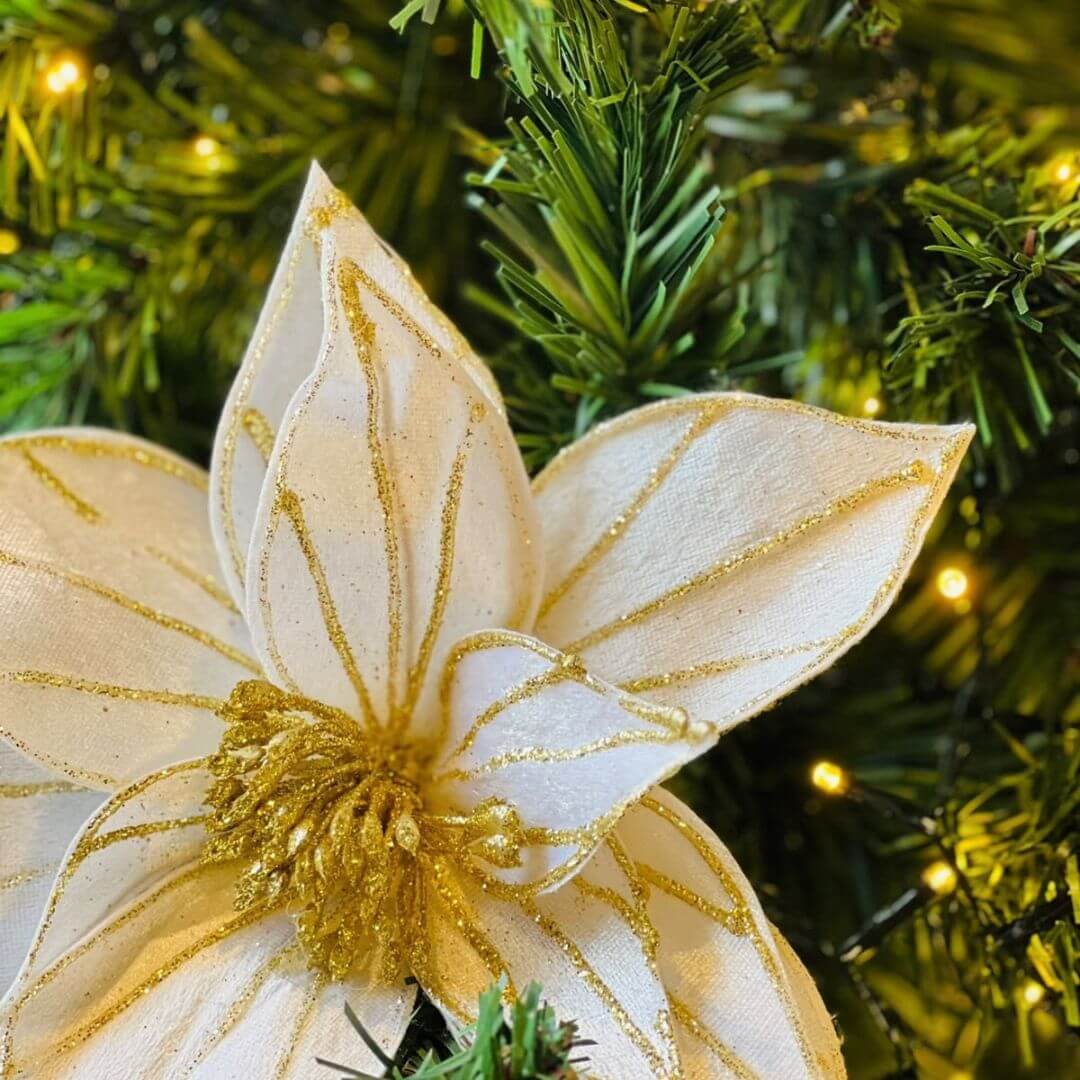 H.bico Papagaio Natal Aveludado - 20cm