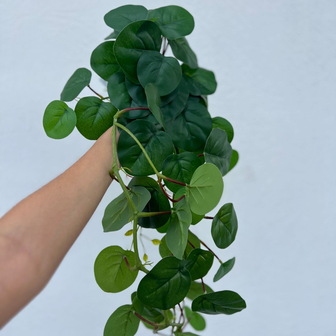 Pendente Pilea - 80cm