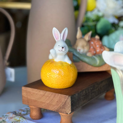 Coelho com Frutinha - 13cm